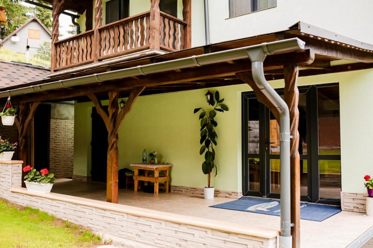 Casa Tudor Topliţa エクステリア 写真
