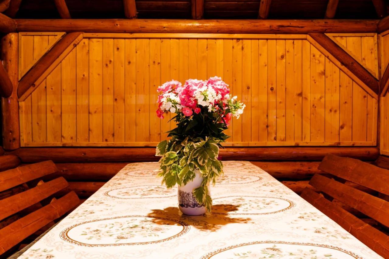 Casa Tudor Topliţa エクステリア 写真