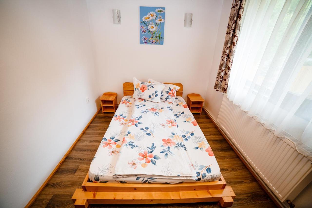 Casa Tudor Topliţa エクステリア 写真