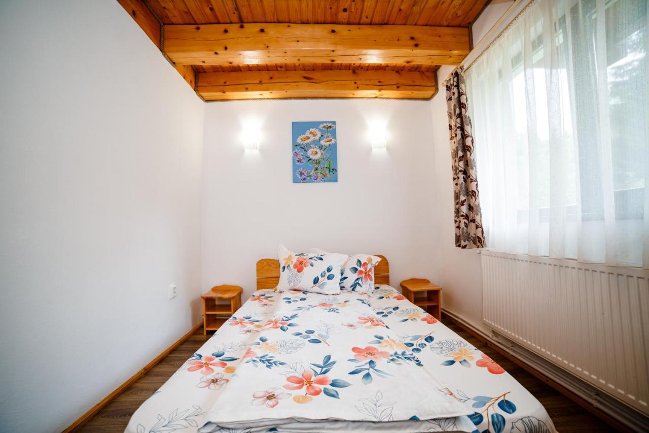 Casa Tudor Topliţa エクステリア 写真