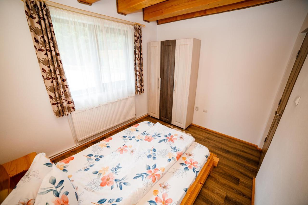 Casa Tudor Topliţa エクステリア 写真